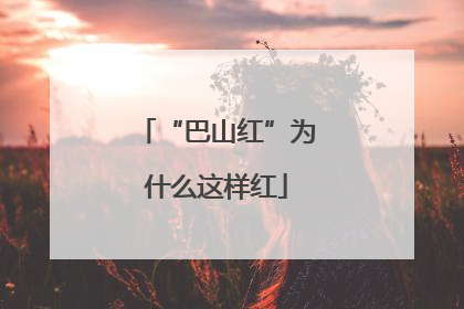 “巴山红”为什么这样红